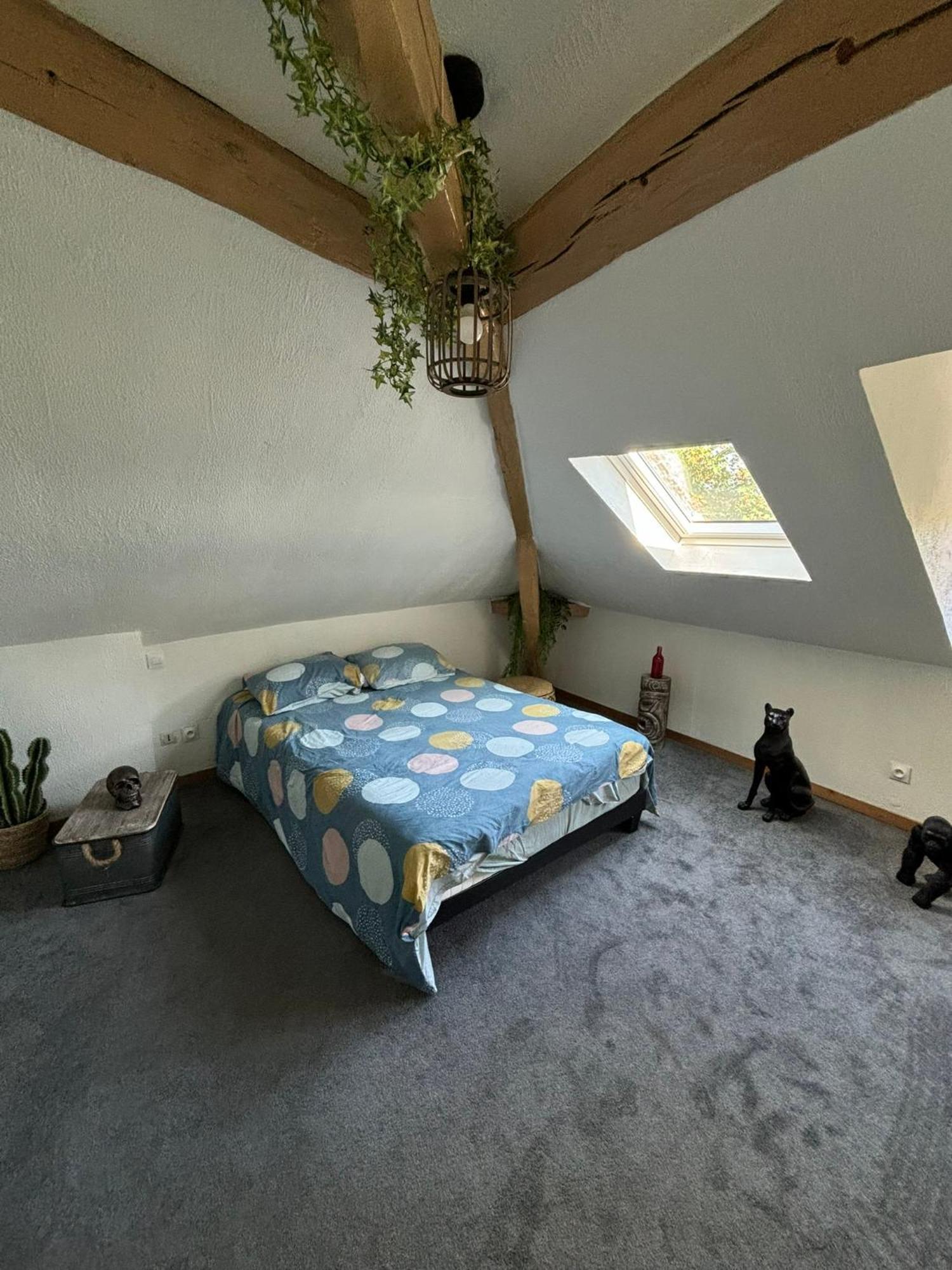 Jungle Cosy Διαμέρισμα Louviers Εξωτερικό φωτογραφία